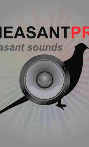 Pheasant Calls for Hunting 1