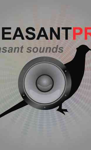 Pheasant Calls for Hunting UK 3