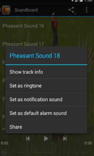 Pheasant Sounds 2