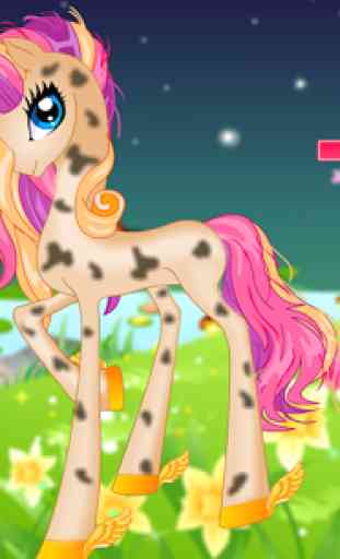 Pony Princess Spa Salon 3