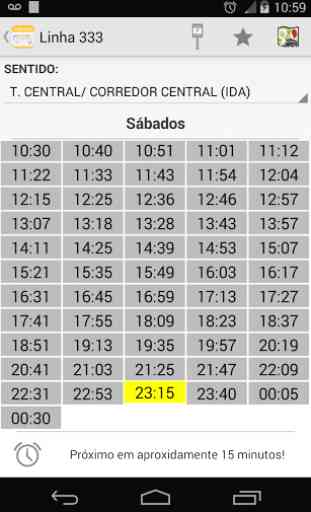 Public Bus Timetable Campinas 4