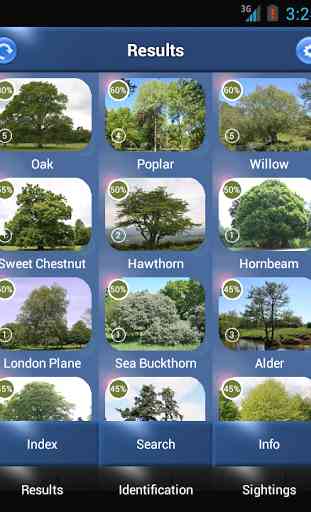 Tree Id - British Trees 1