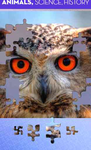 100 PICS Puzzles - Jigsaw game 2