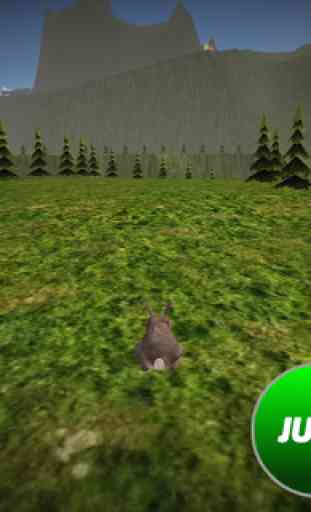 Amphibious Rabbit Simulator 1