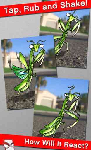 Angry Mantis Free! 1