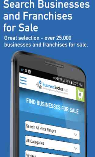 Businesses for Sale 1