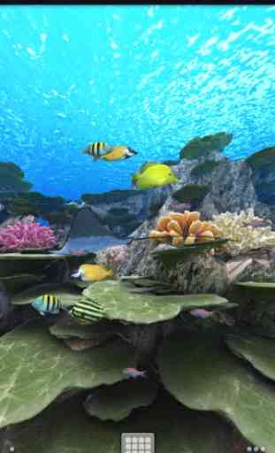 Coral Reef of Kerama Trial 1