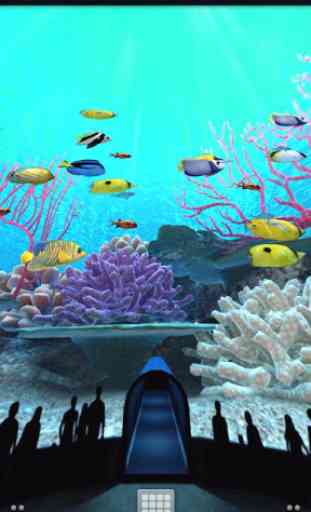 Coral Reefs World Trial 1