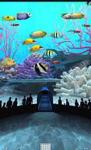 Coral Reefs World Trial 2