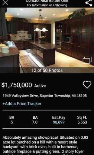Michigan Real Estate Search 3
