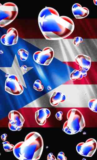 Puerto Rico Flag Love 1