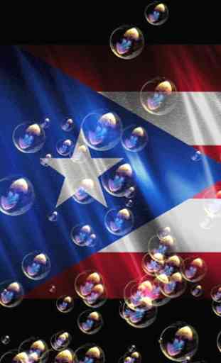 Puerto Rico Flag Love 2