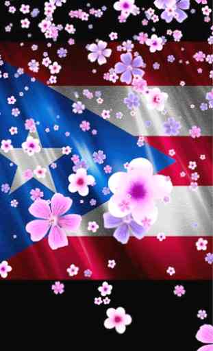 Puerto Rico Flag Love 3