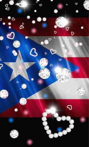 Puerto Rico Flag Love 4