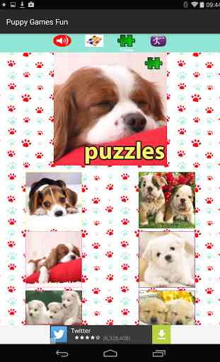 Puppy Dog Games Free 3