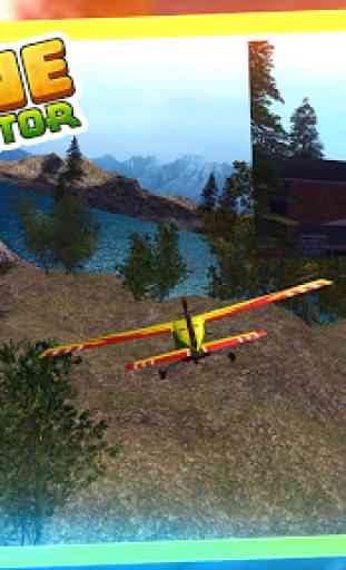 RC Airplane Flight Simulator 4