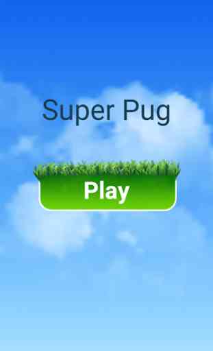 Super Pug 1
