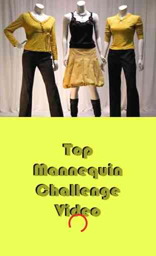 Top Mannequin Challenge Video 1