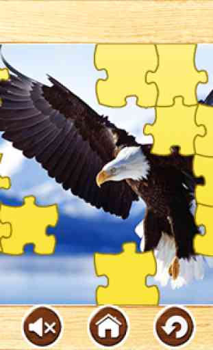 Wild Animal Jigsaw Puzzle Game 4