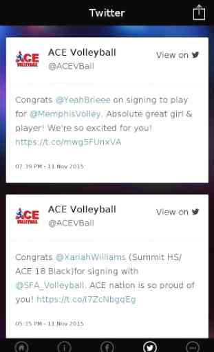 ACE Volleyball 3
