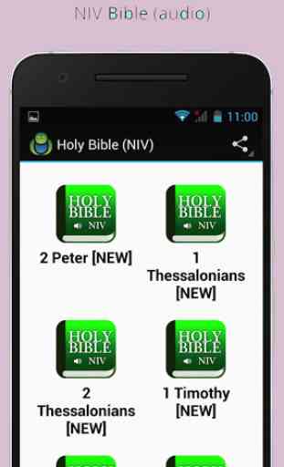 Bible NIV mp3 2