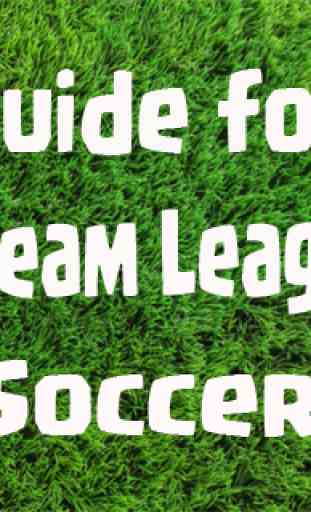 Cheats for Dream League Soccer 2