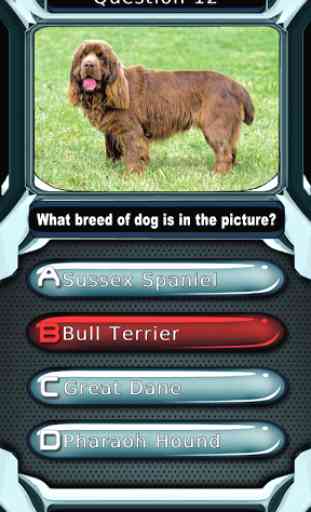 Dog Breed Animal Quiz Game 2