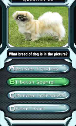 Dog Breed Animal Quiz Game 3