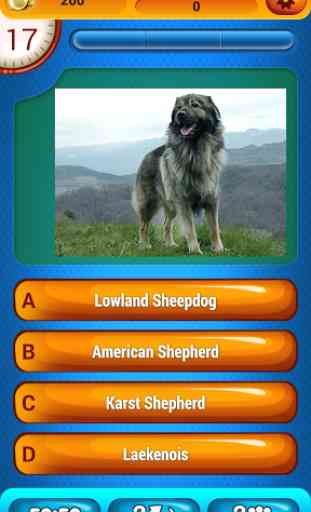 Dog Breeds Fun Trivia Quiz 3
