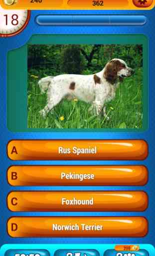 Dog Breeds Fun Trivia Quiz 4