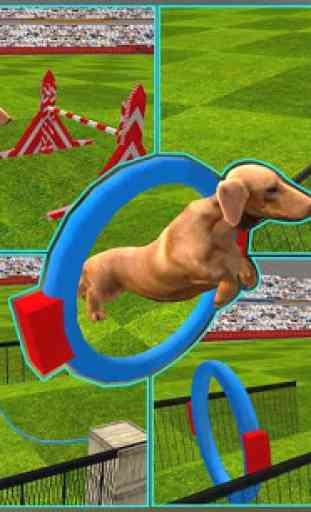 Dog Stunt Show Simulator 3D 3