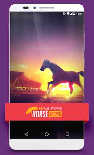 HD Wallpapers Horse Racing 1