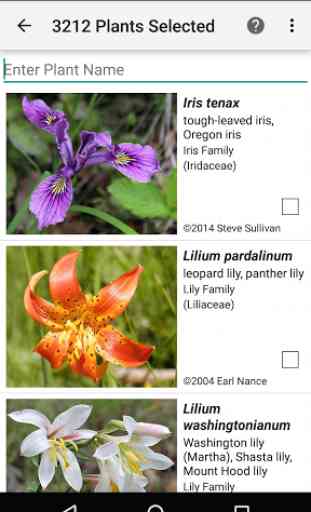 Oregon Wildflower Search 2