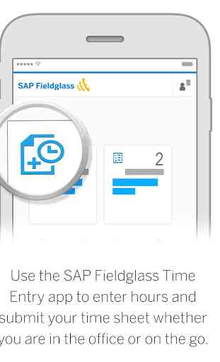 SAP Fieldglass Time Entry 1