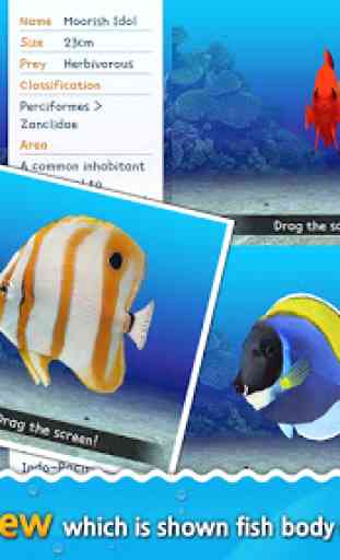 Fish Aquarium Game - 3D Ocean 4