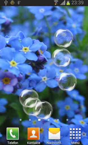 Forget-me-not Live Wallpaper 1