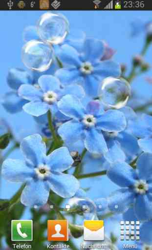 Forget-me-not Live Wallpaper 2