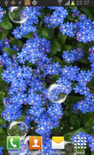 Forget-me-not Live Wallpaper 3