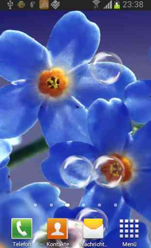 Forget-me-not Live Wallpaper 4