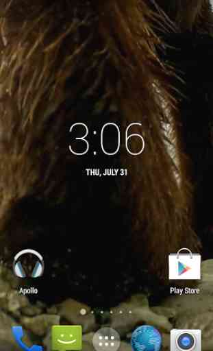 Grizzly HD. Live Wallpaper 2