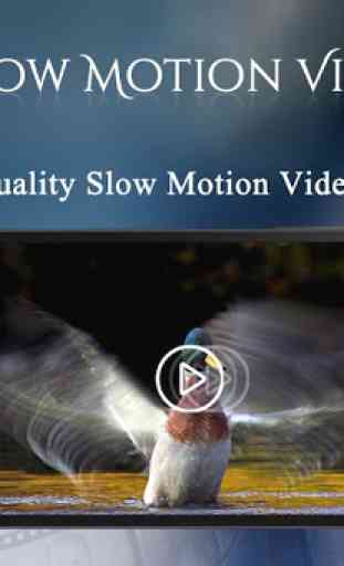Slow Motion Video Maker 4