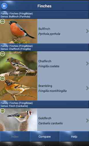 Bird Id - British Birds 3