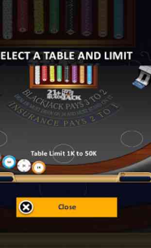 Blackjack 21+ Casino Card Game 4