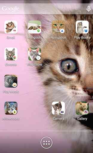 Icon Changer Cute Cats-Scleen 4