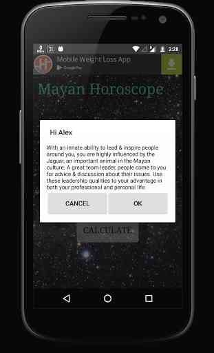 Mayan Horoscope 4