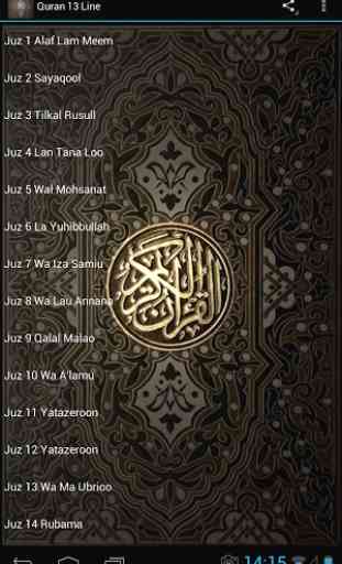 Quran 13 Line 4