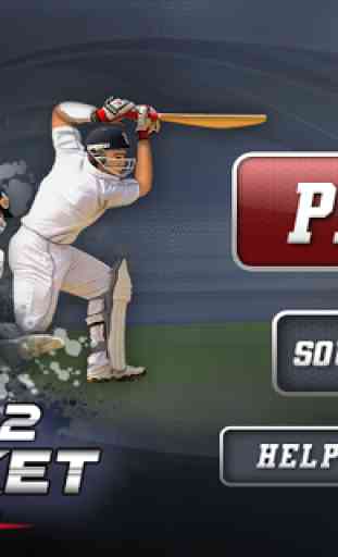 Tap Cricket 2013 1