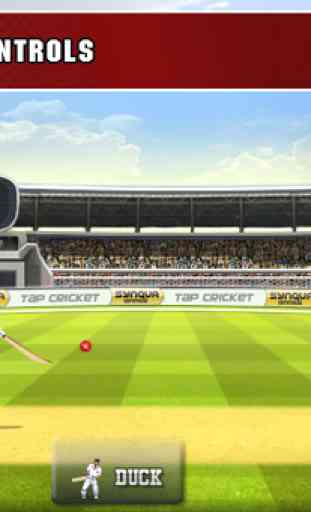 Tap Cricket 2013 2