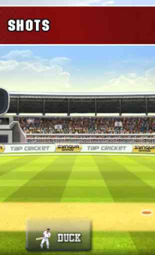 Tap Cricket 2013 3