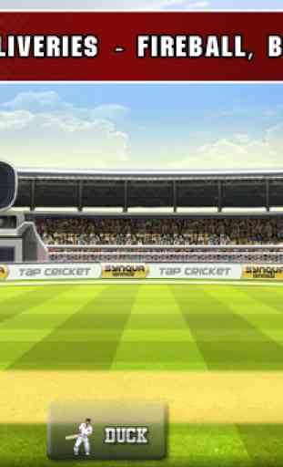 Tap Cricket 2013 4